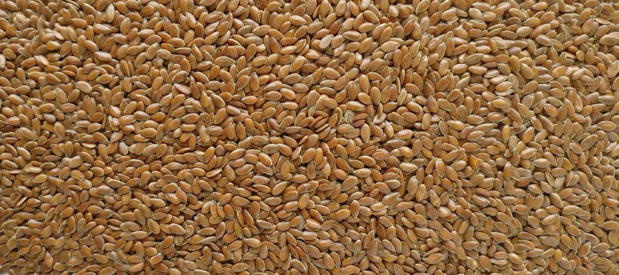 Alsi-Seeds-exporter-india