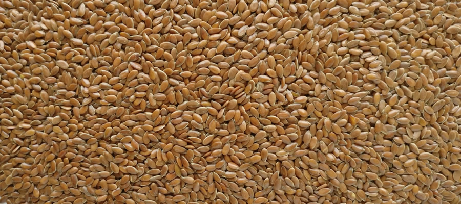 Alsi-Seeds-exporter-india