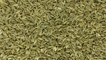 fennel-seed-saunf