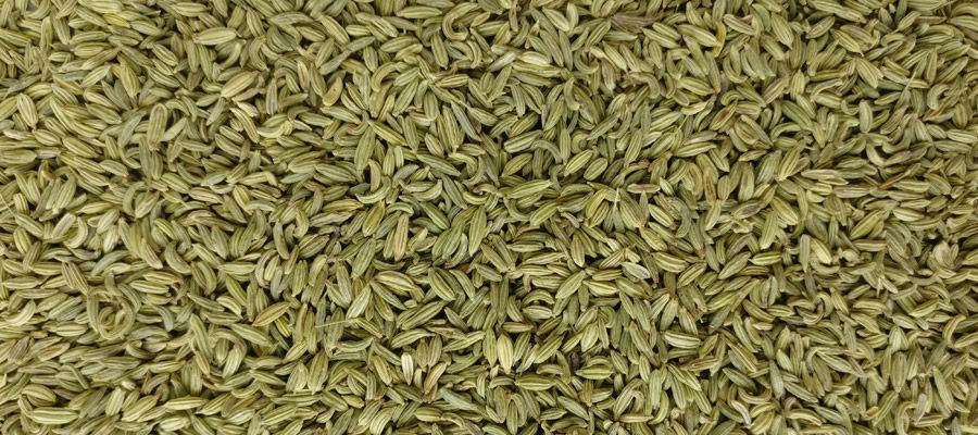 fennel-seed-saunf