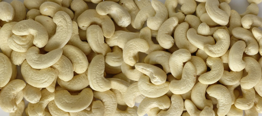 Cashew-Nuts-exporter-india