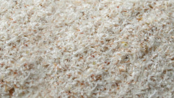 Psyllium-Husk-Isabgol-Husk-exporter-india