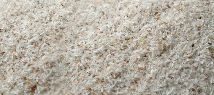 Psyllium-Husk-Isabgol-Husk-exporter-india