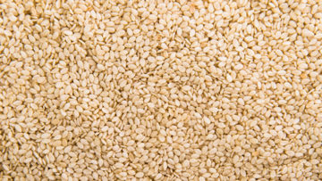 Sesame-TalTil-exporter-india