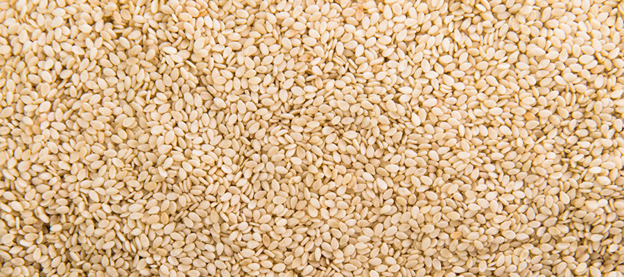 Sesame-TalTil-exporter-india